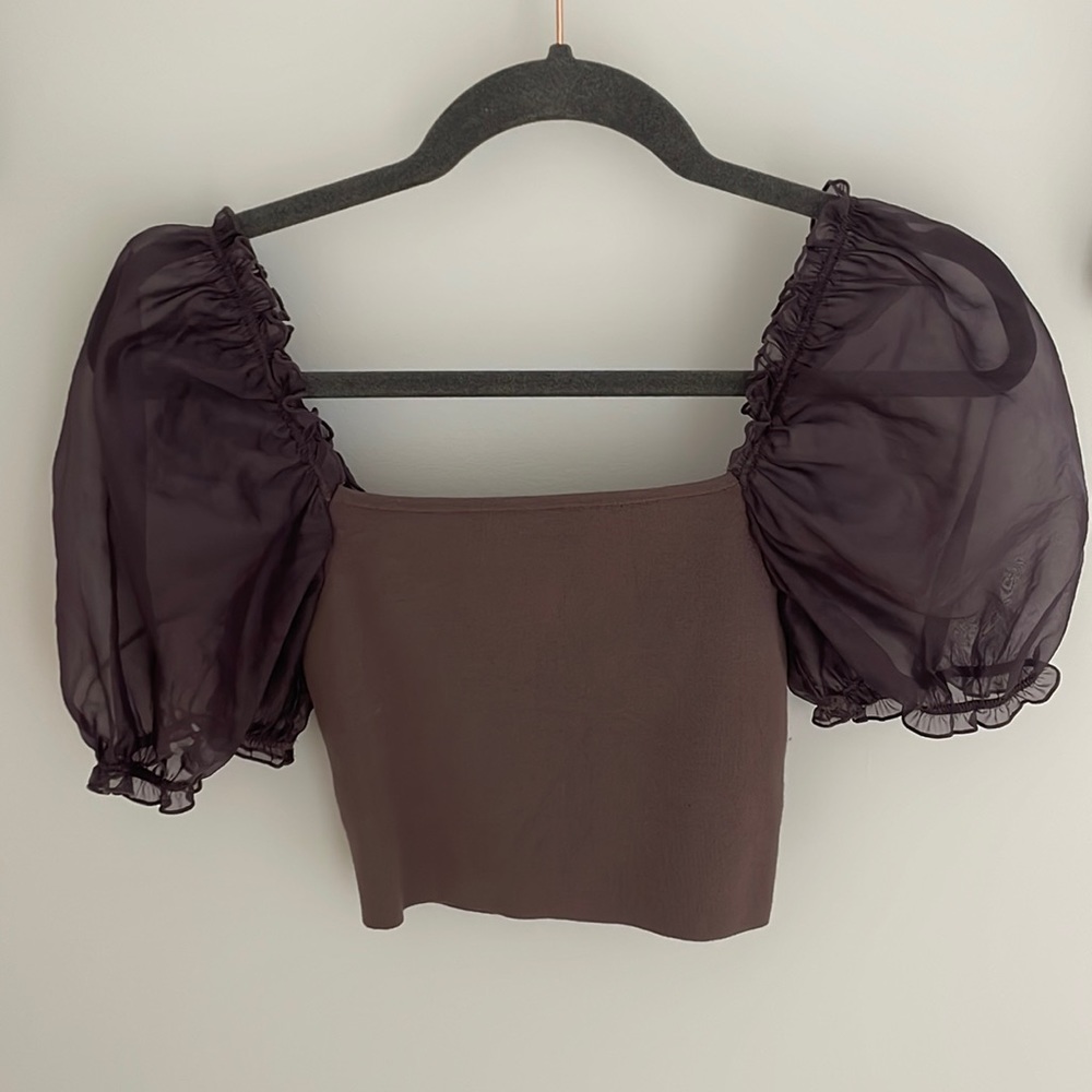 EUC aritzia Wilfred sheer sleeve top